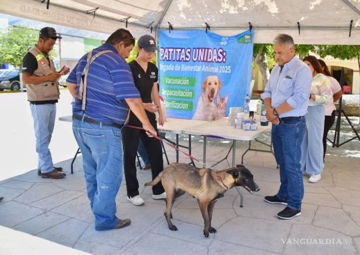 $!Las esterilizaciones se realizarán este lunes con apoyo de autoridades sanitarias.