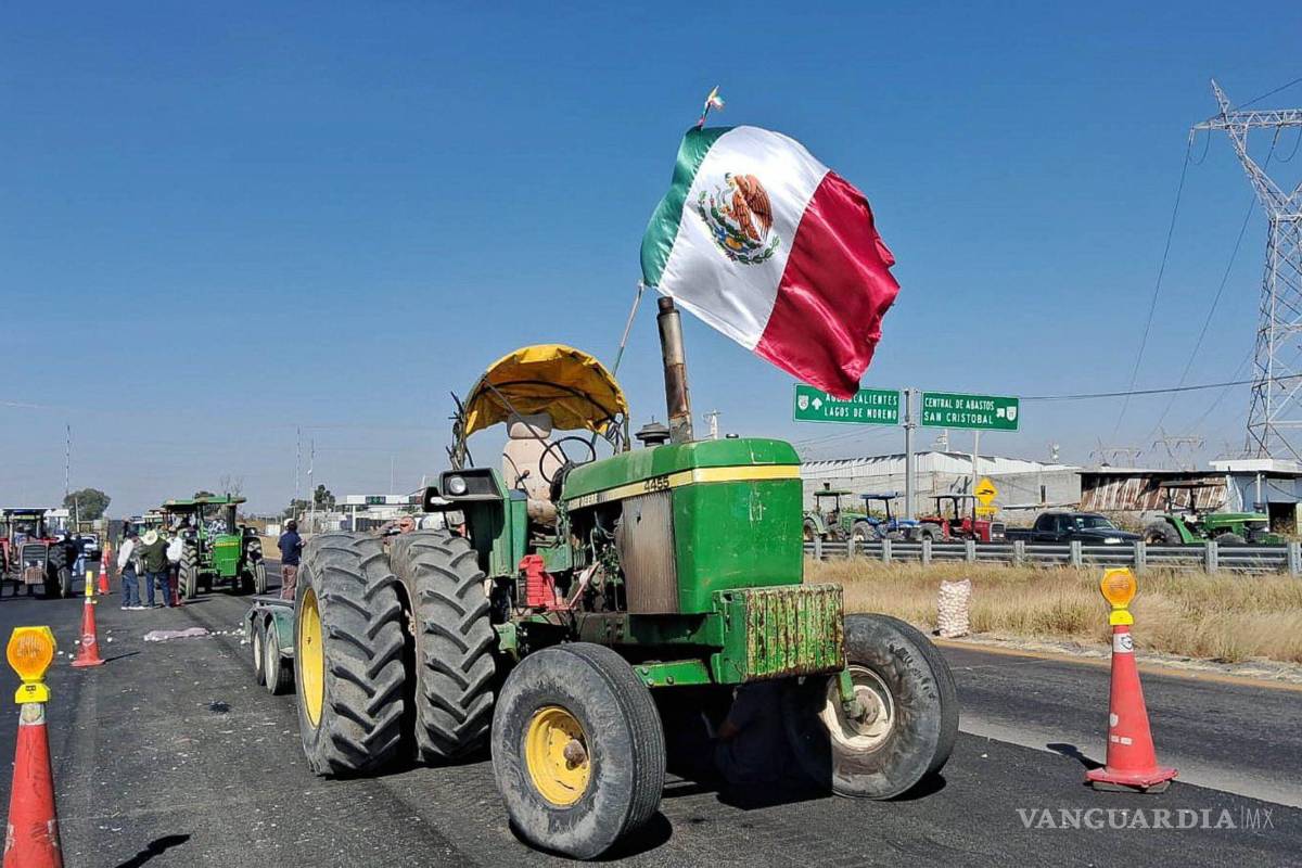Campesinos del Bajío acusan a Sader de ‘simulación’: exigen 7 mil 200 pesos por tonelada