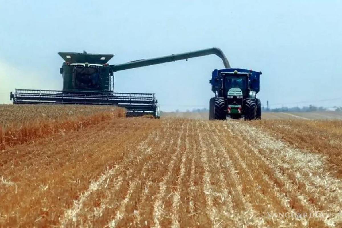 Unión Europea castiga los granos de Rusia y Bielorrusia, aumenta 50% aranceles