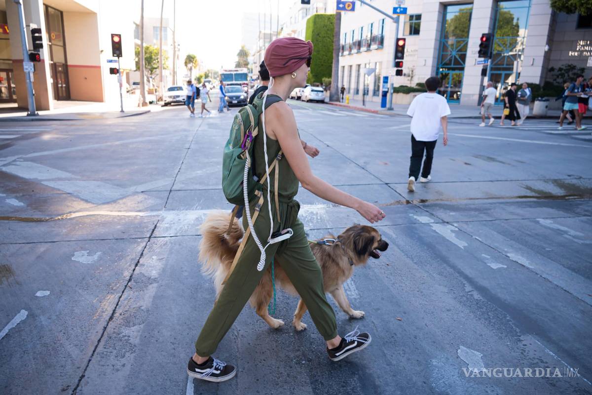 $!El dispositivo portátil que administra la terapia TTFields puede llevarlo el paciente en una bolsa o mochila con comodidad. Foto: Novocure.