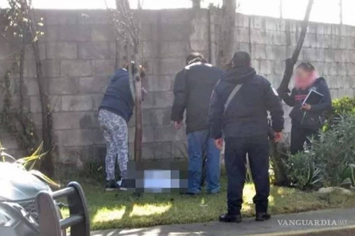 Ratas devoran a recién nacido abandonado en parque