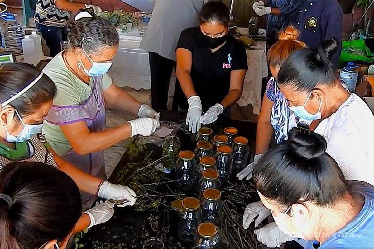 Organiza la UAAAN talleres gratuitos para fomentar, en un ambiente familiar, el cuidado del medio ambiente