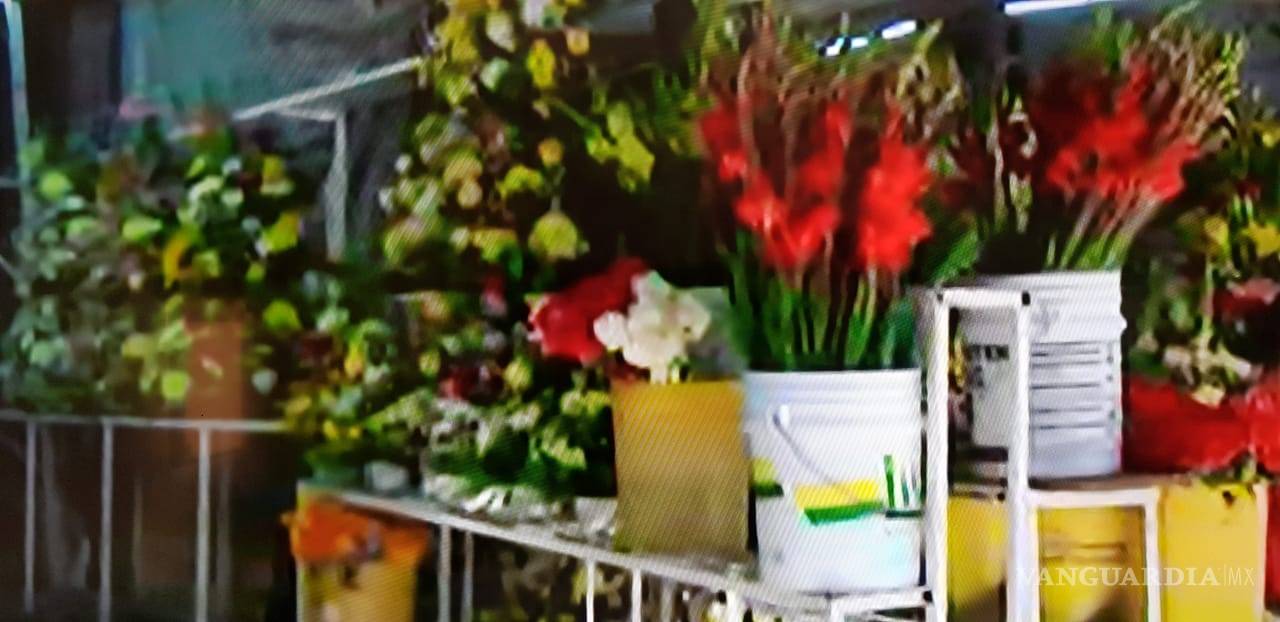 $!Comerciantes de flores de Torreón piden abrir los panteones
