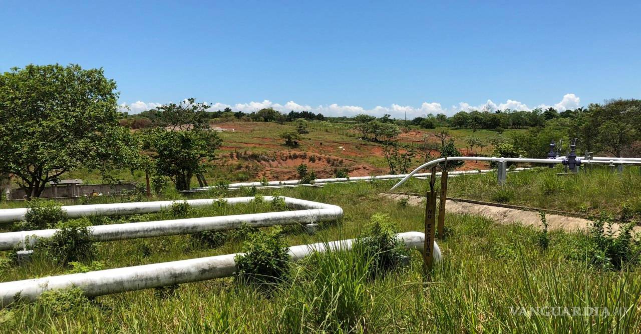 $!Defienden zoques de Chiapas 84 mil 500 hectáreas de los proyectos de la Reforma Energética