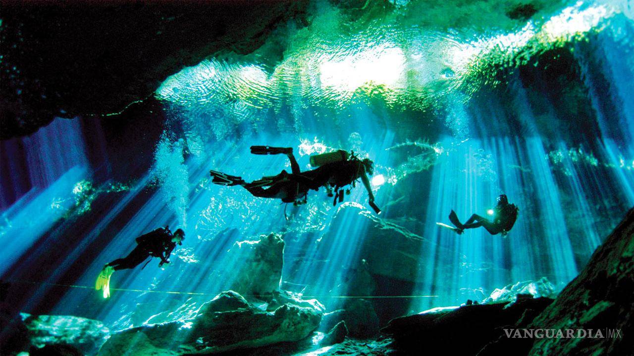 $!Los cenotes, considerados sagrados por la cultura maya, son vitales para el suministro de agua dulce y la preservación de especies acuáticas en peligro de extinción.