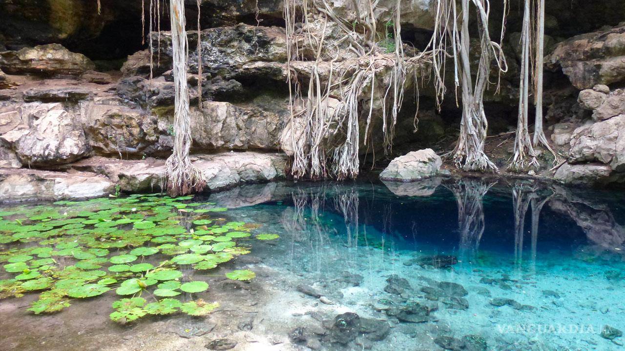 $!El incremento de vertederos ilegales y la filtración de aguas residuales amenazan la calidad del agua y la biodiversidad de los cenotes.
