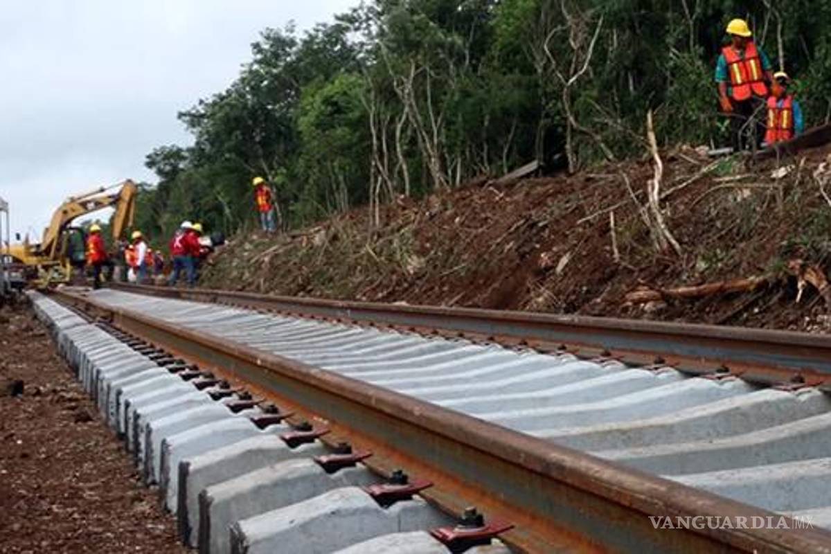 Gobierno expropiará 240 hectáreas para el tramo 5 norte del Tren Maya