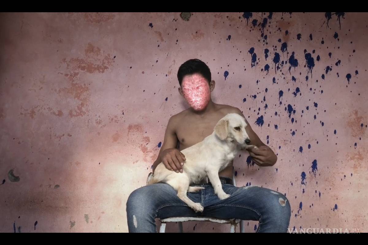 ‘Los Plebes’ el narco que no ves en streaming