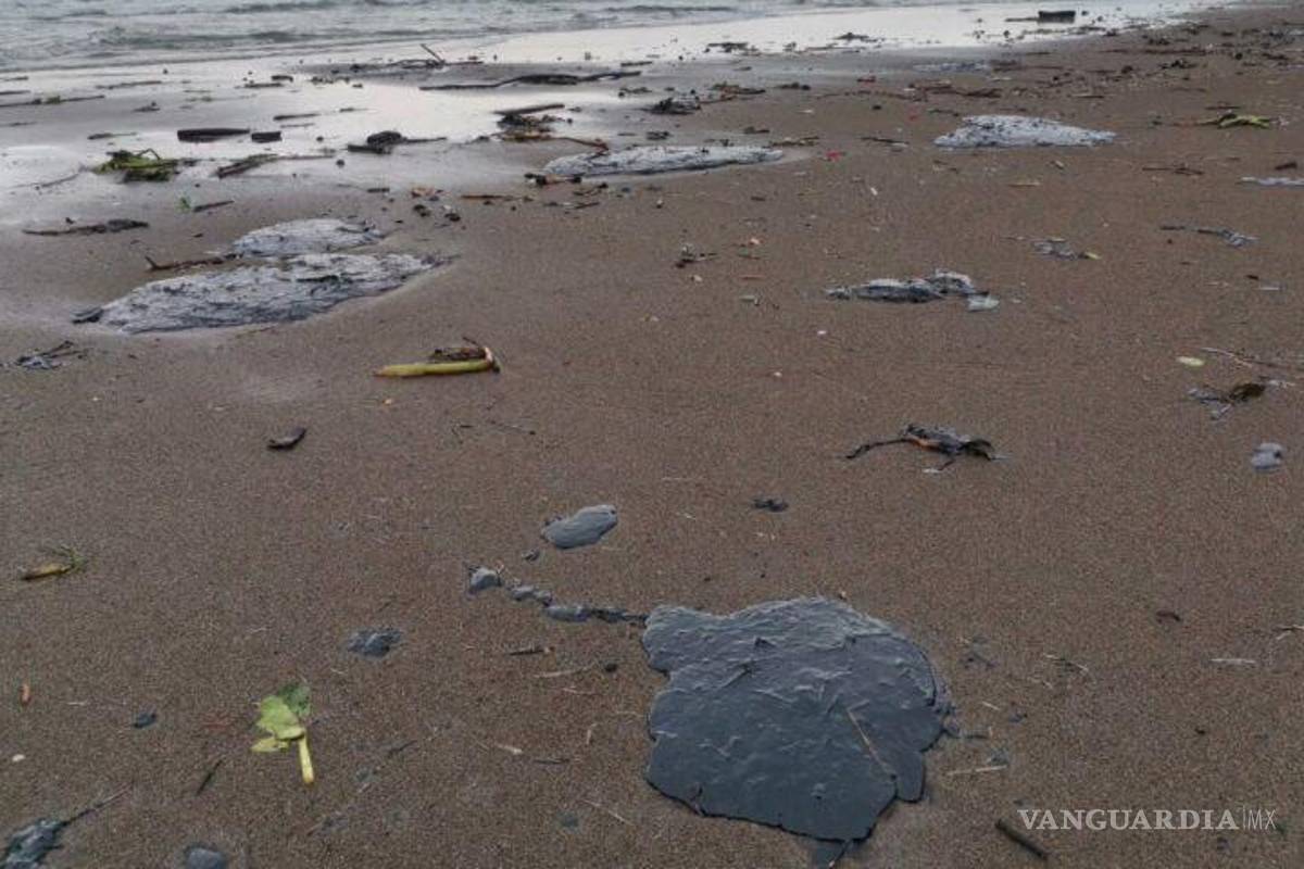 $!Aparece chapopote en playas de Veracruz, reportan muerte de animales