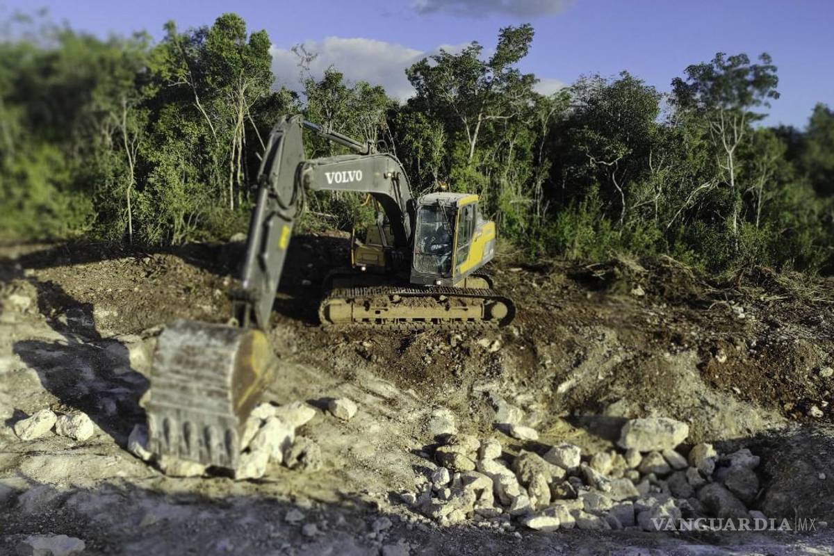 Tren Maya condena a ‘vivir en la miseria’ a pueblos, afirma Congreso Nacional Indígena