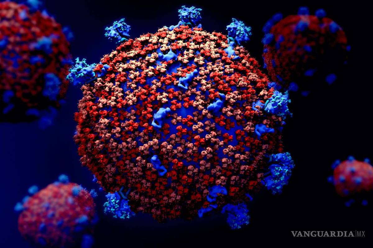 Coronavirus podría seguir ‘infectando’ la economía durante lo siguientes meses