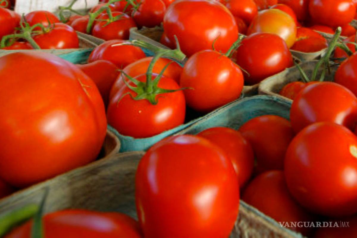 Productores de tomate mexicanos buscarán evitar arancel de 17.5% en EU