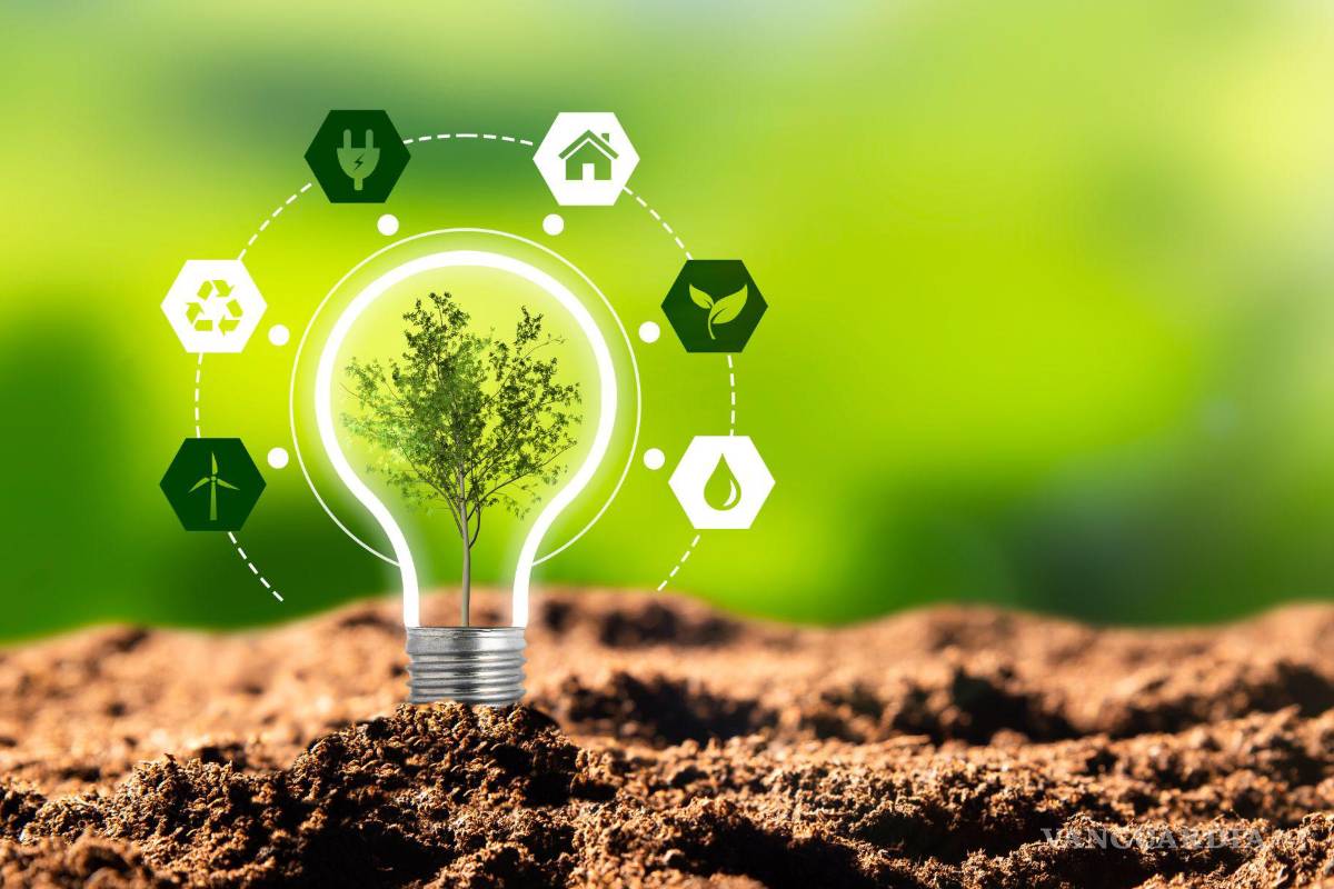 ‘Sin sustentabilidad, las pérdidas van a ser enormes en Coahuila’: SMA