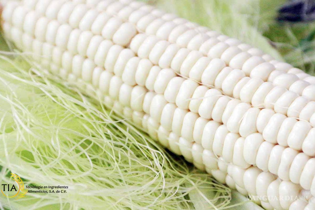 Producción de maíz blanco bajará aún más