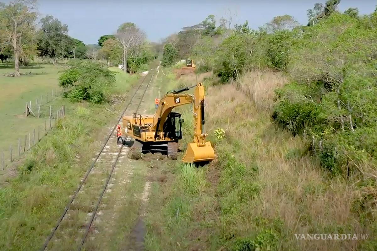 Gobierno de AMLO compra sin licitar hasta 80 por ciento de contratos