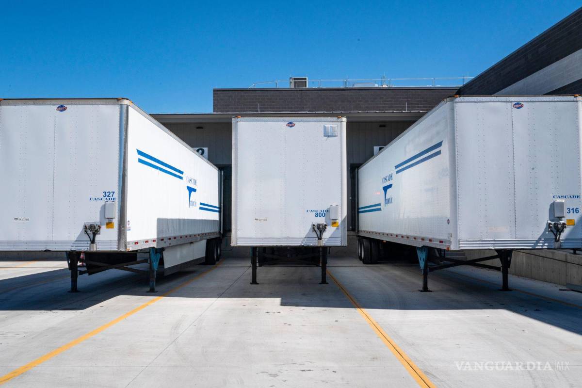 Tras presunto hackeo, pone en pausa SCT trámites de licencias de transporte hasta 2023