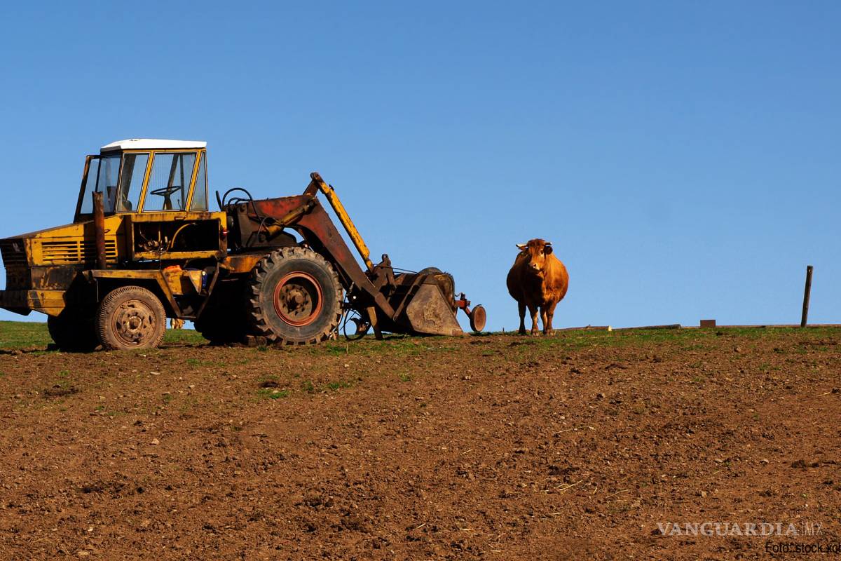 La CNC defenderá el presupuesto para el campo, pero no en perjuicio del sector; asegura dirigente