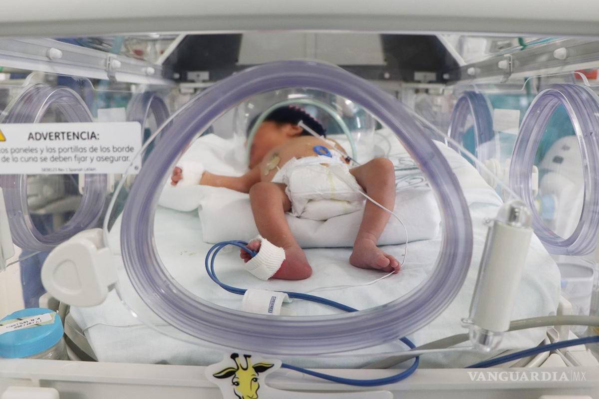 $!Recién nacidos en el Hospital General de Zona No. 16 reciben atención con nuevo equipamiento.