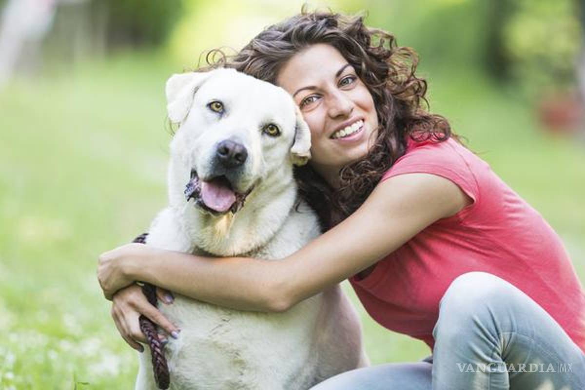 'Un perro es una propiedad, no son hijos': juez a mujer que pidió trato especial para sus mascotas en un divorcio