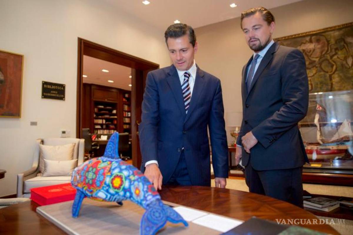 Semarnat aplaude a DiCaprio por lucha de salvar a vaquita marina