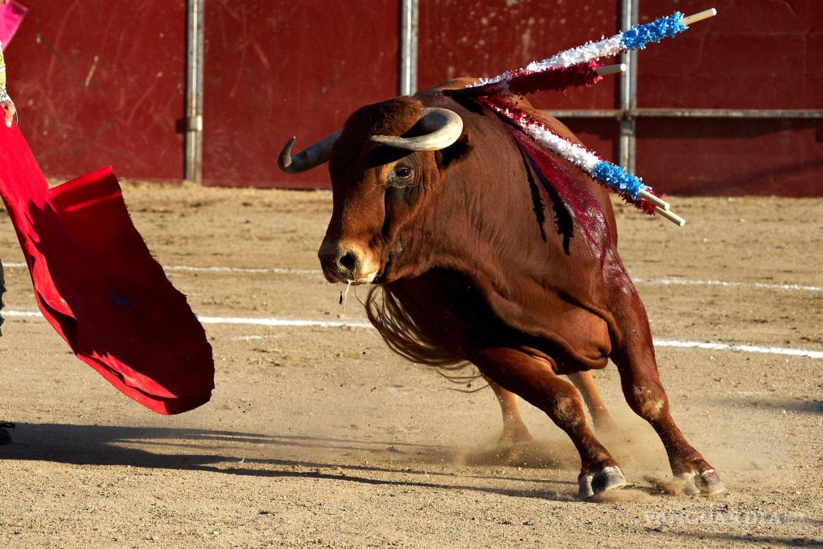 Presenta saltillense ‘Toreros del Norte de México’ en FIL de Monterrey