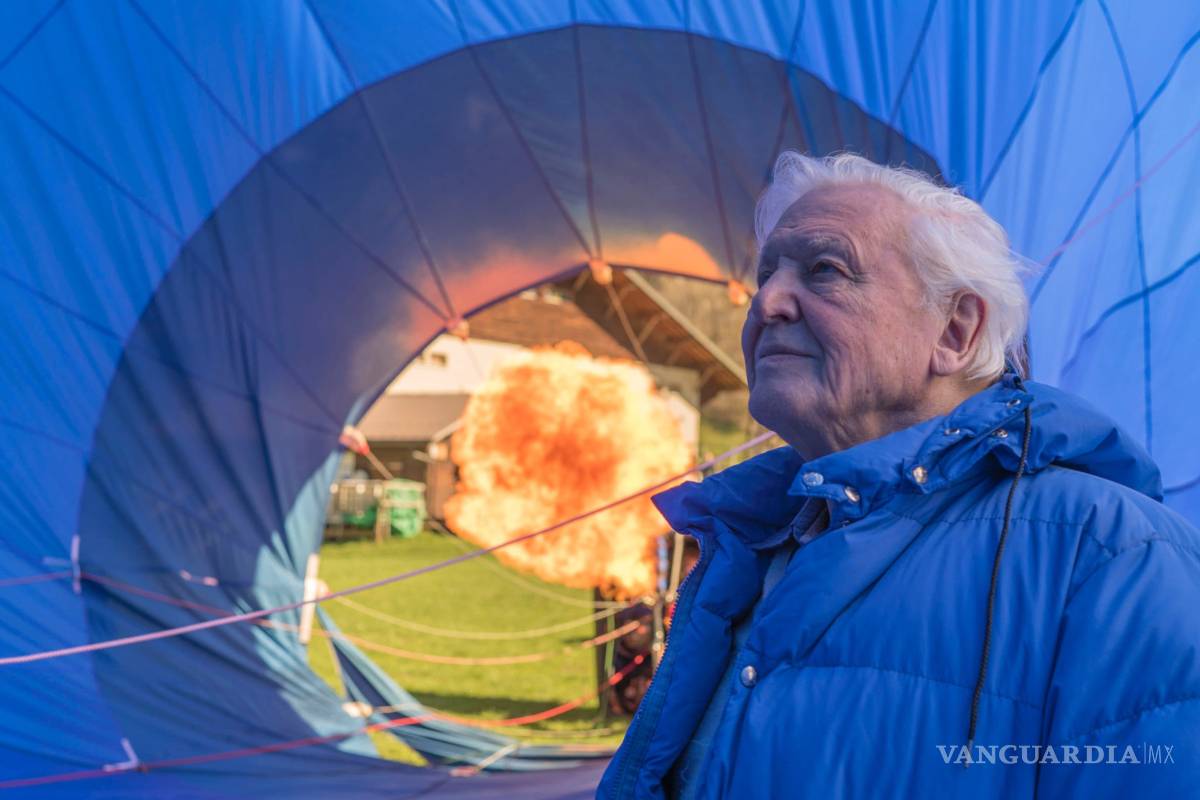 La naturaleza como nunca la has visto: Planet Earth II