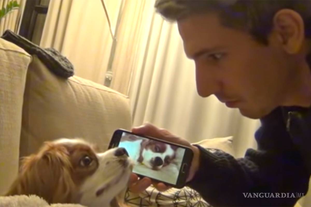 Su perro ronca tan fuerte que decidió despertarlo con sus propios ronquidos