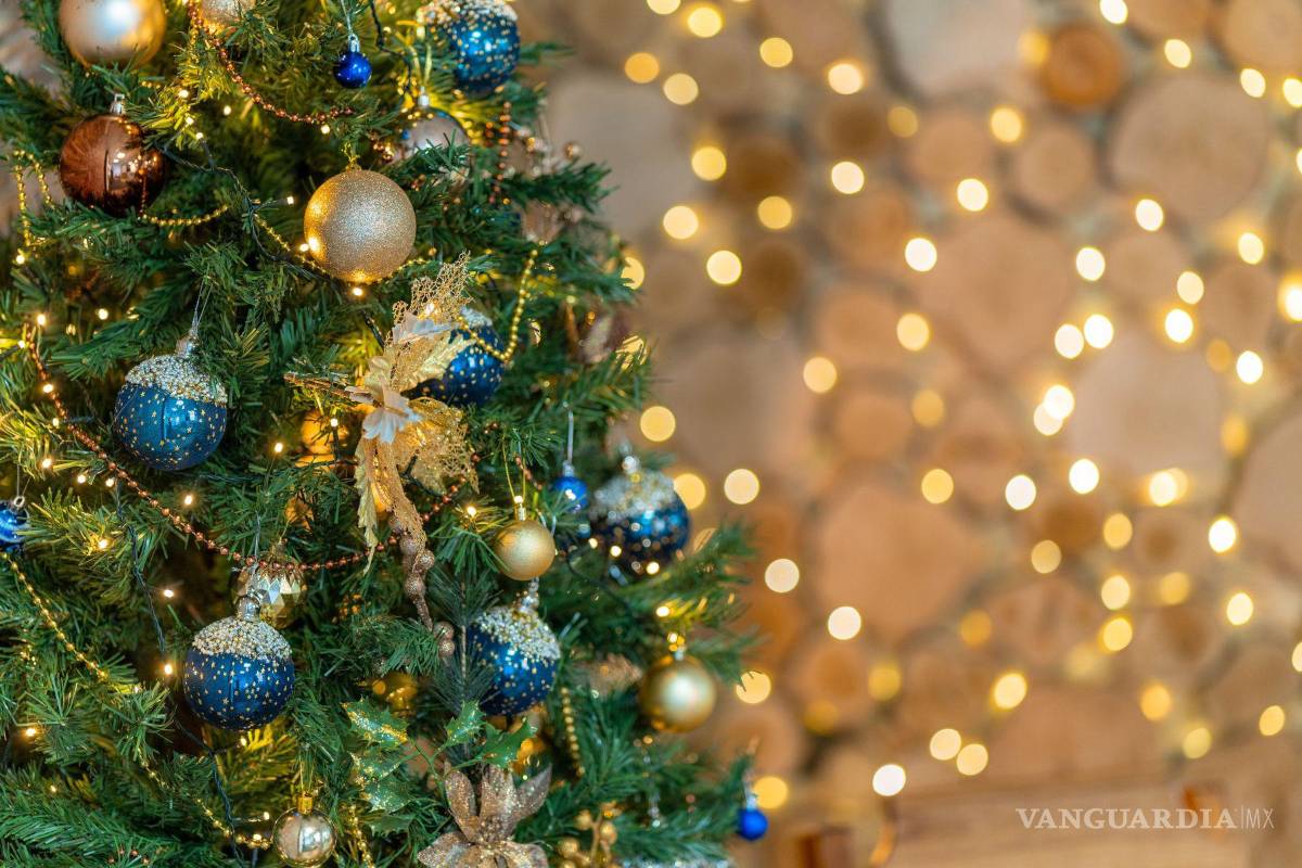 Llama Diócesis de Saltillo a disfrutar la navidad desde el altruismo