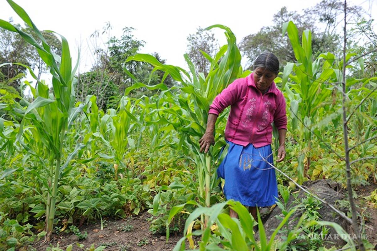 La mitad de las mujeres del mundo no tienen ingresos propios: WeAmericas