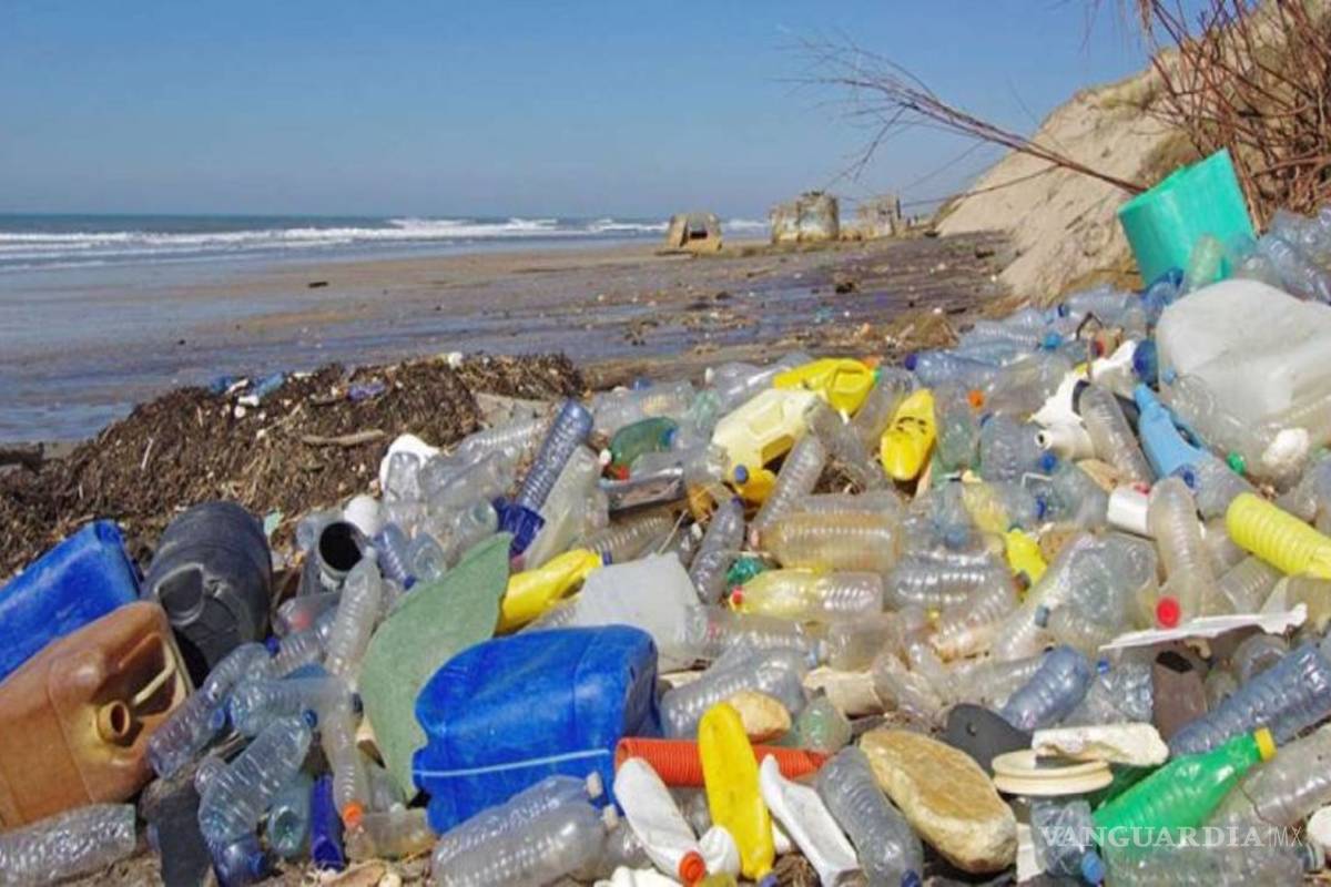 $!¡Las envolturas de tu infancia están de regreso!... para recordarte que tu basura no desaparece