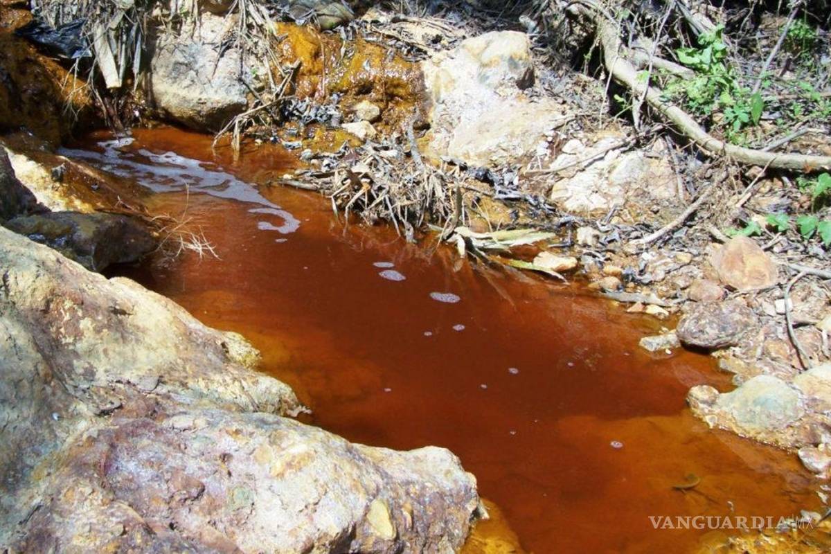 $!Persisten omisiones del gobierno y Grupo México con afectados por derrame en el Río Sonora: CNDH