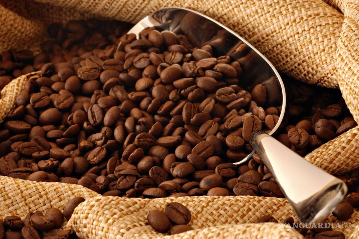 México, principal productor de cafés orgánicos en el mundo