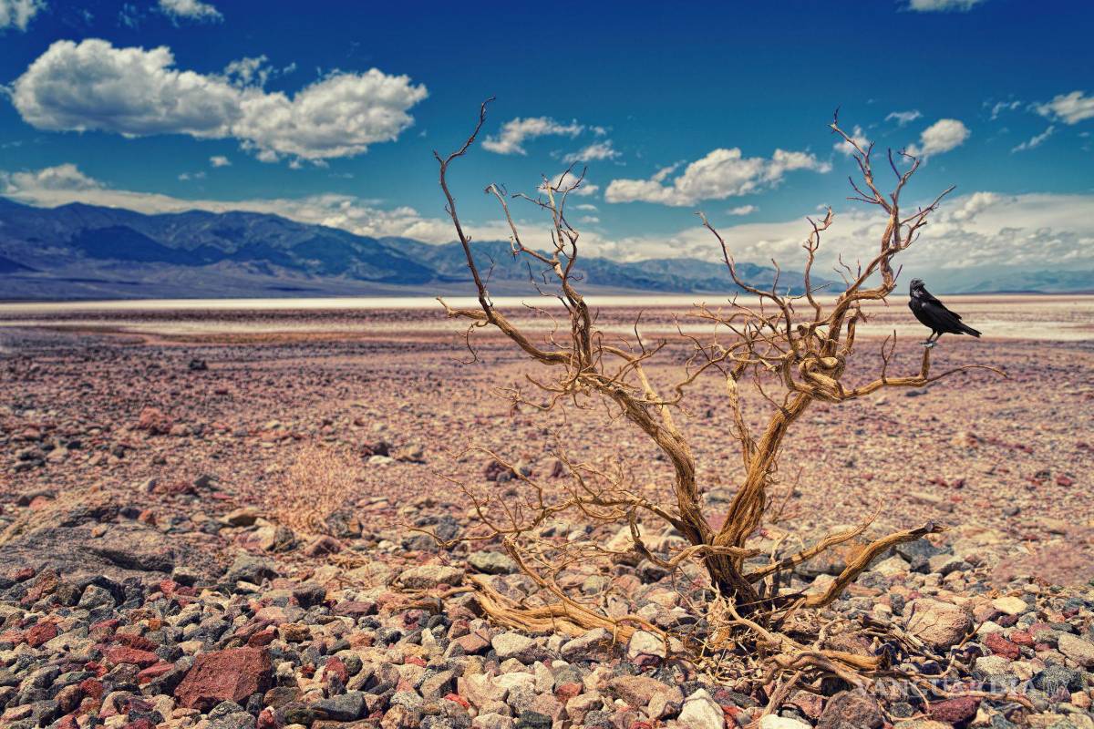 Alerta OMM que los últimos ocho años son los más cálidos hasta ahora