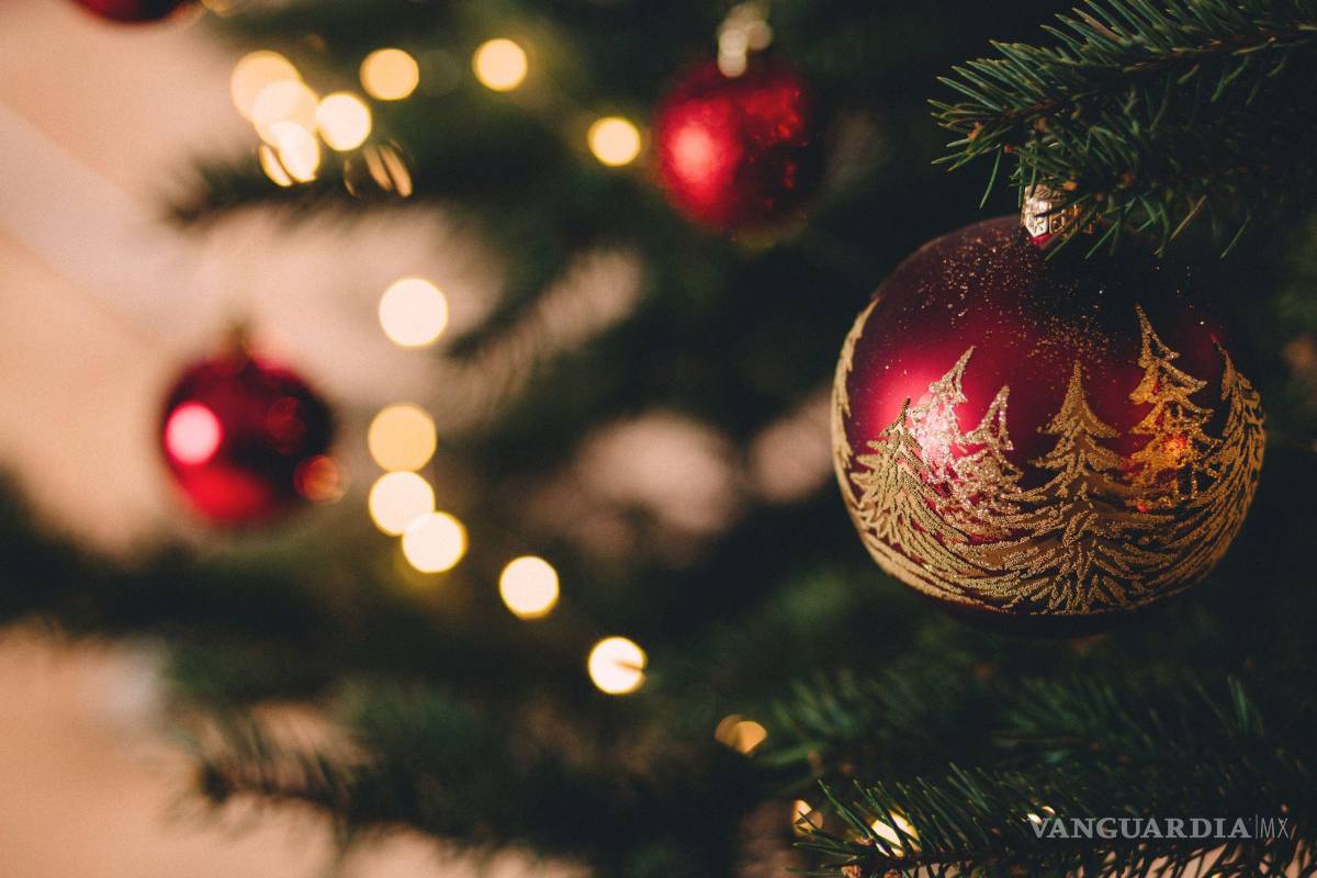 Espíritu navideño transformará la Alameda Zaragoza de Saltillo; instalarán Casa de Santa