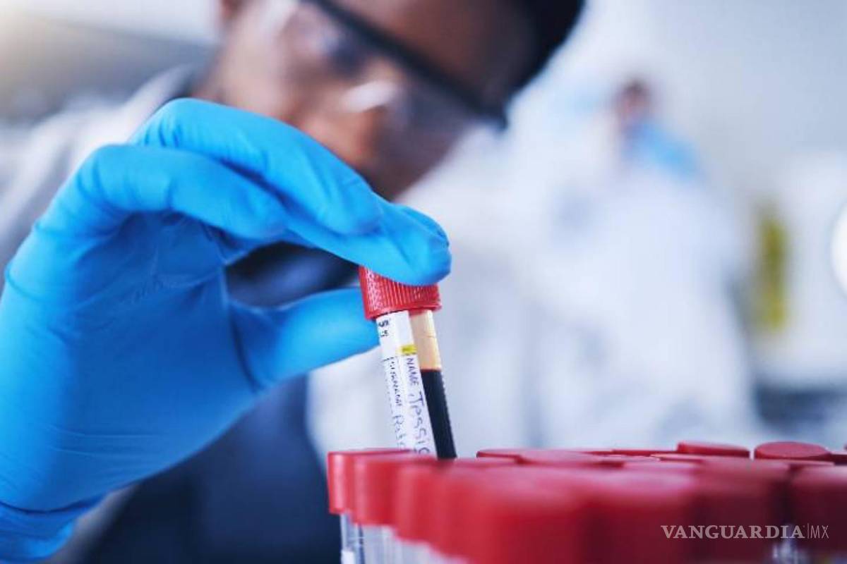 Un análisis de sangre podría predecir el Parkinson siete años antes de los síntomas