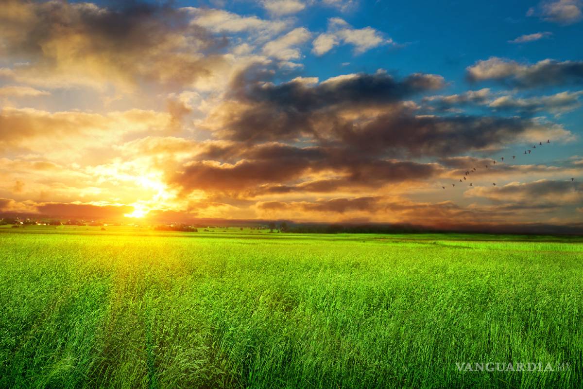 Desarrollo sostenible del mundo, en riesgo por el cambio climático: FAO