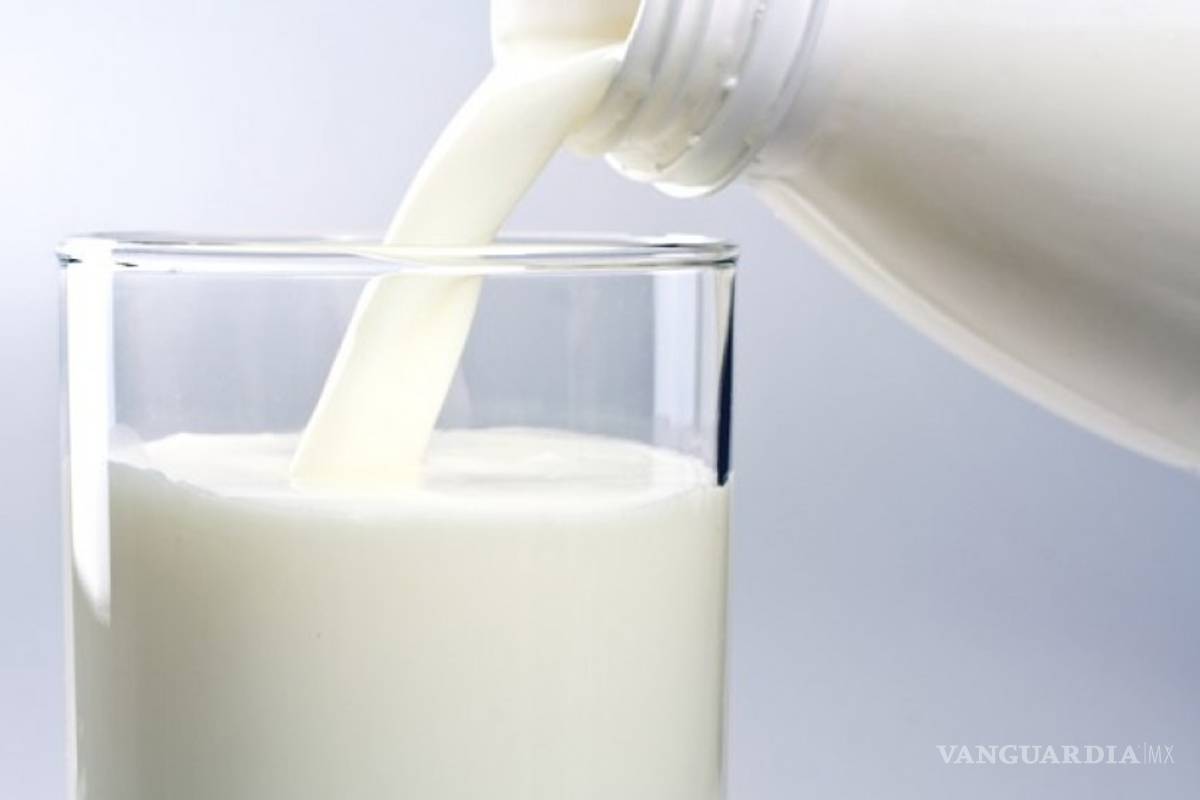 Chihuahua impide ingreso de 221 litros de leche con bacterias causantes de brucelosis