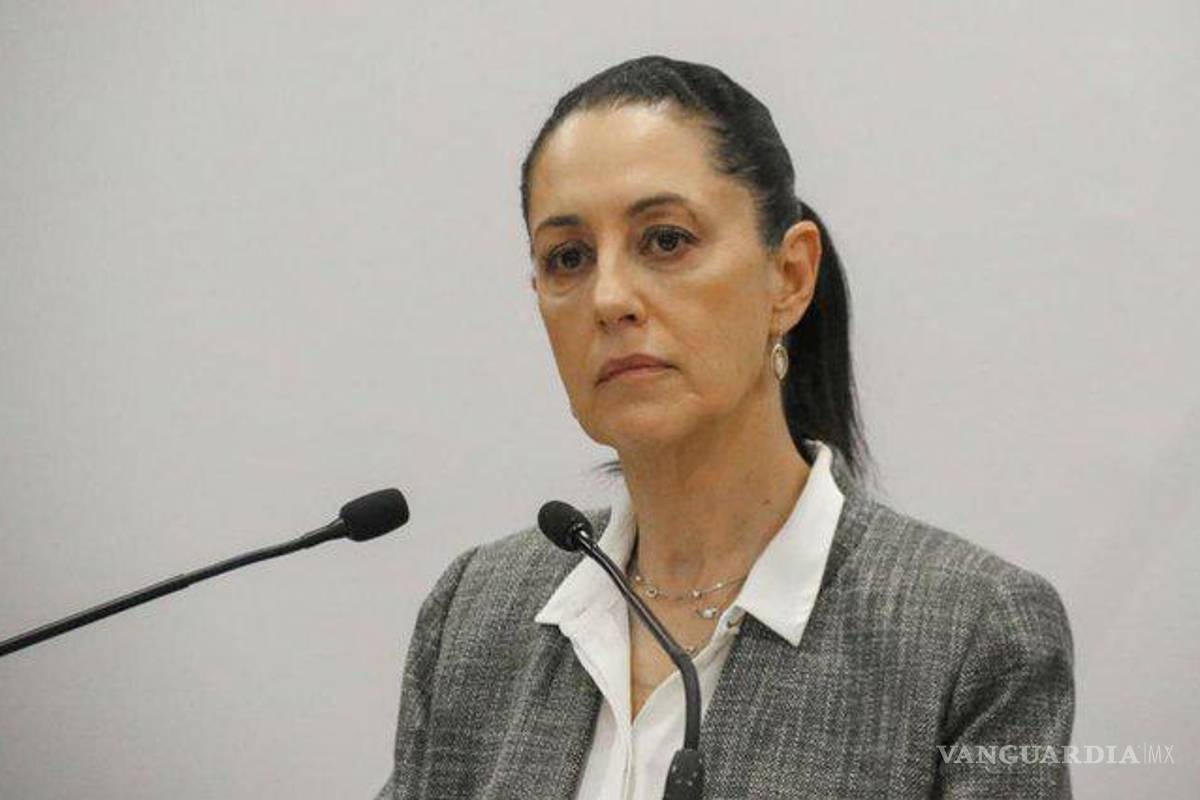 Sheinbaum rechaza intervenir en elección de titular de la CNDH