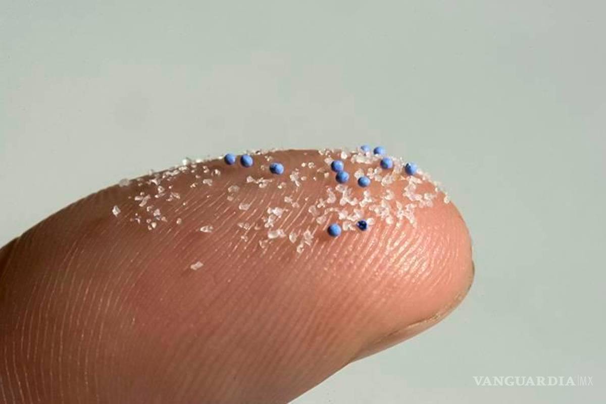 Ni los ancestros se salvan: Encuentran microplásticos en restos arqueológicos