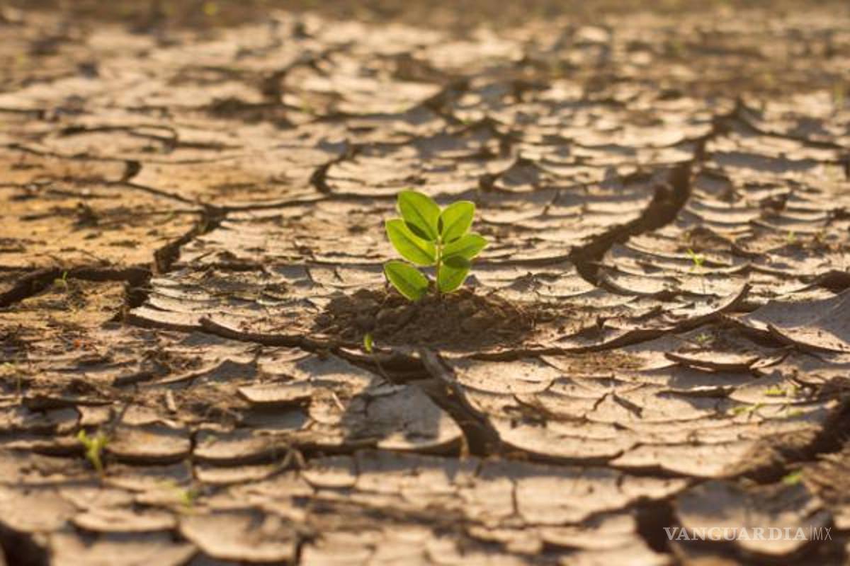 Impactará cambio climático en la economía mexicana: UNAM