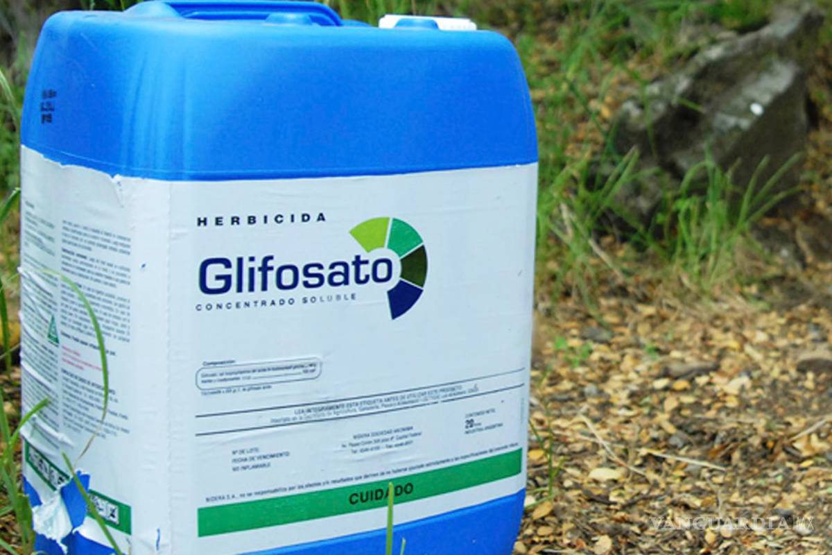 Agrupaciones campesinas no quieren glifosato, herbicida propuesto por Gobierno