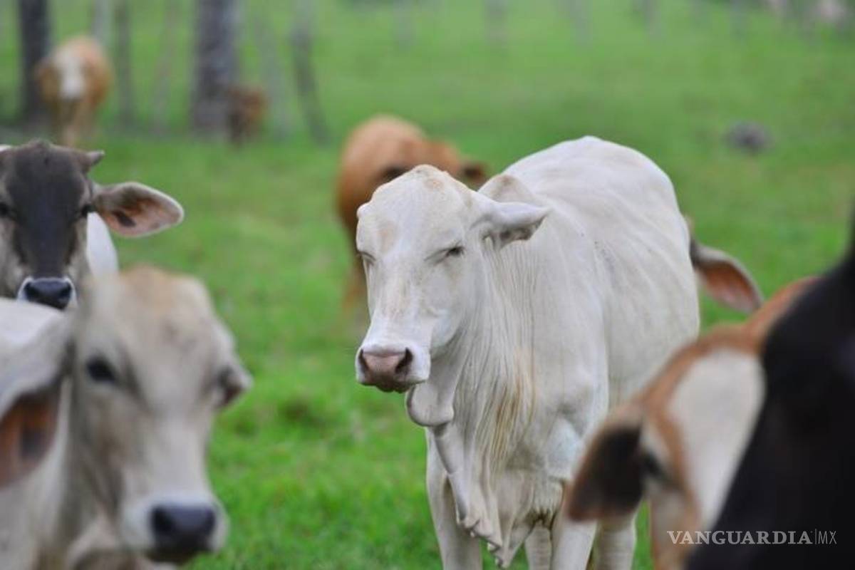 Coronavirus dispara crimen en las cadenas de logística en alimentos