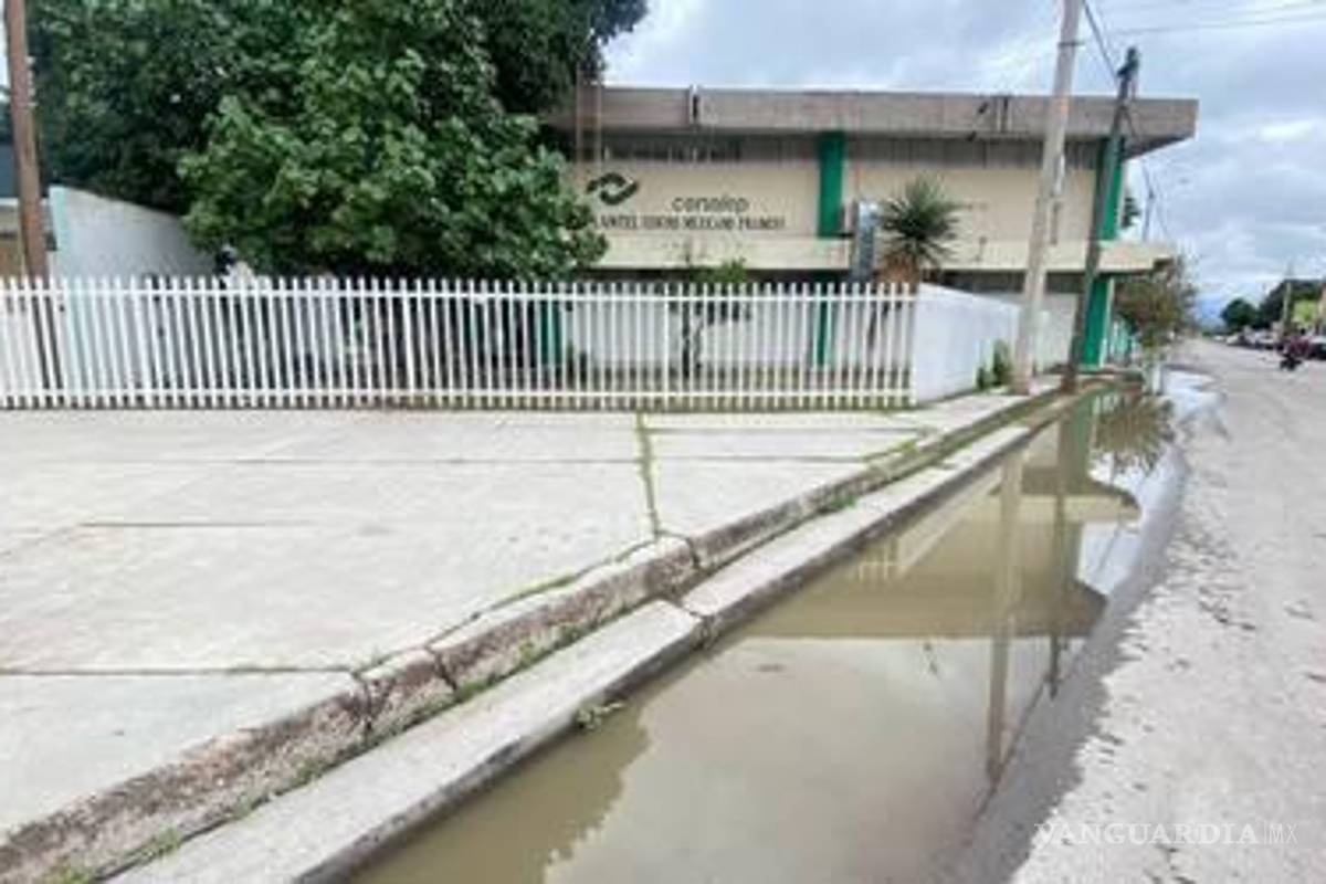 Salud Coahuila informa primera muerte por dengue en Torreón; era mujer y tenía 23 años
