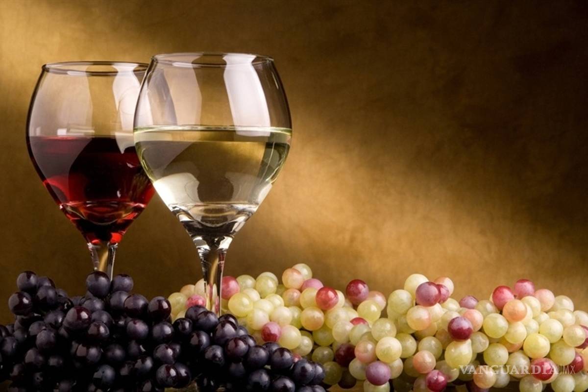 Vino nacional es 220% más caro que el extranjero