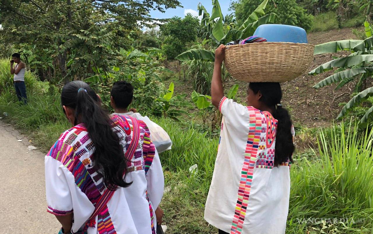 $!Defienden zoques de Chiapas 84 mil 500 hectáreas de los proyectos de la Reforma Energética