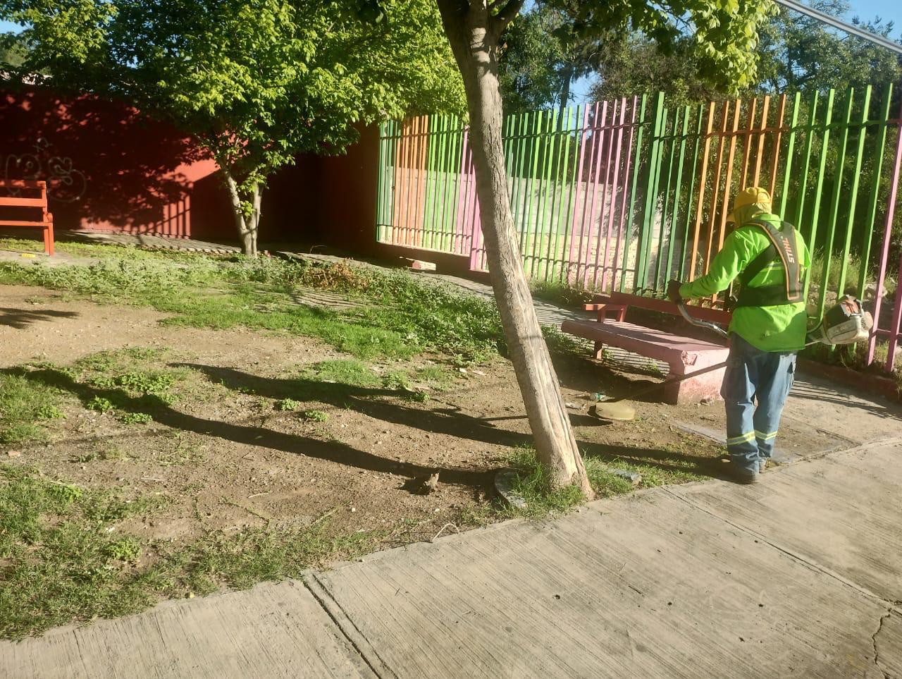 $!Trabajadores municipales podaron las áreas verdes del Parque Lineal Bellavista-Ojo de Agua como parte del mantenimiento.