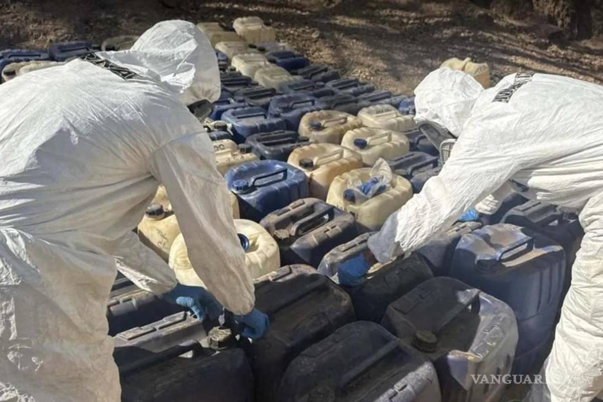 Destruye Semar dos ‘narcolaboratorios’ en Durango; aseguran 50 mdp en droga