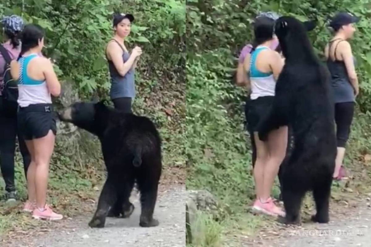 Protestan en Nuevo León por traslado de ‘oso amigable’