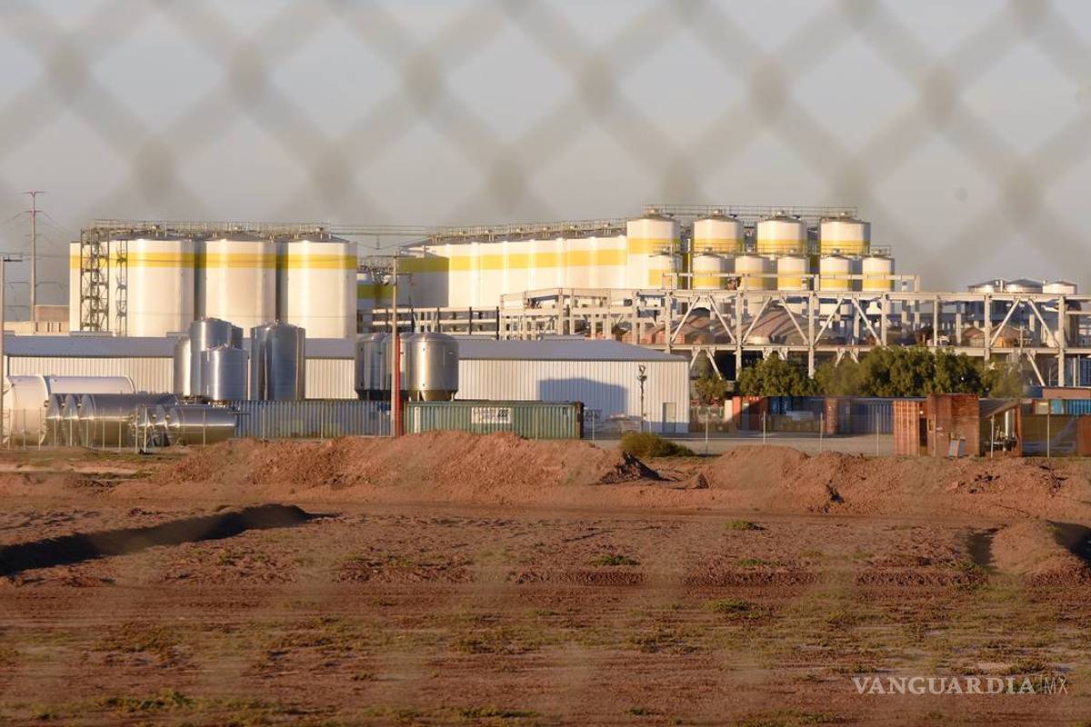 Planta de Constellation Brands en Mexicali no se construirá porque así lo decidió la gente: AMLO