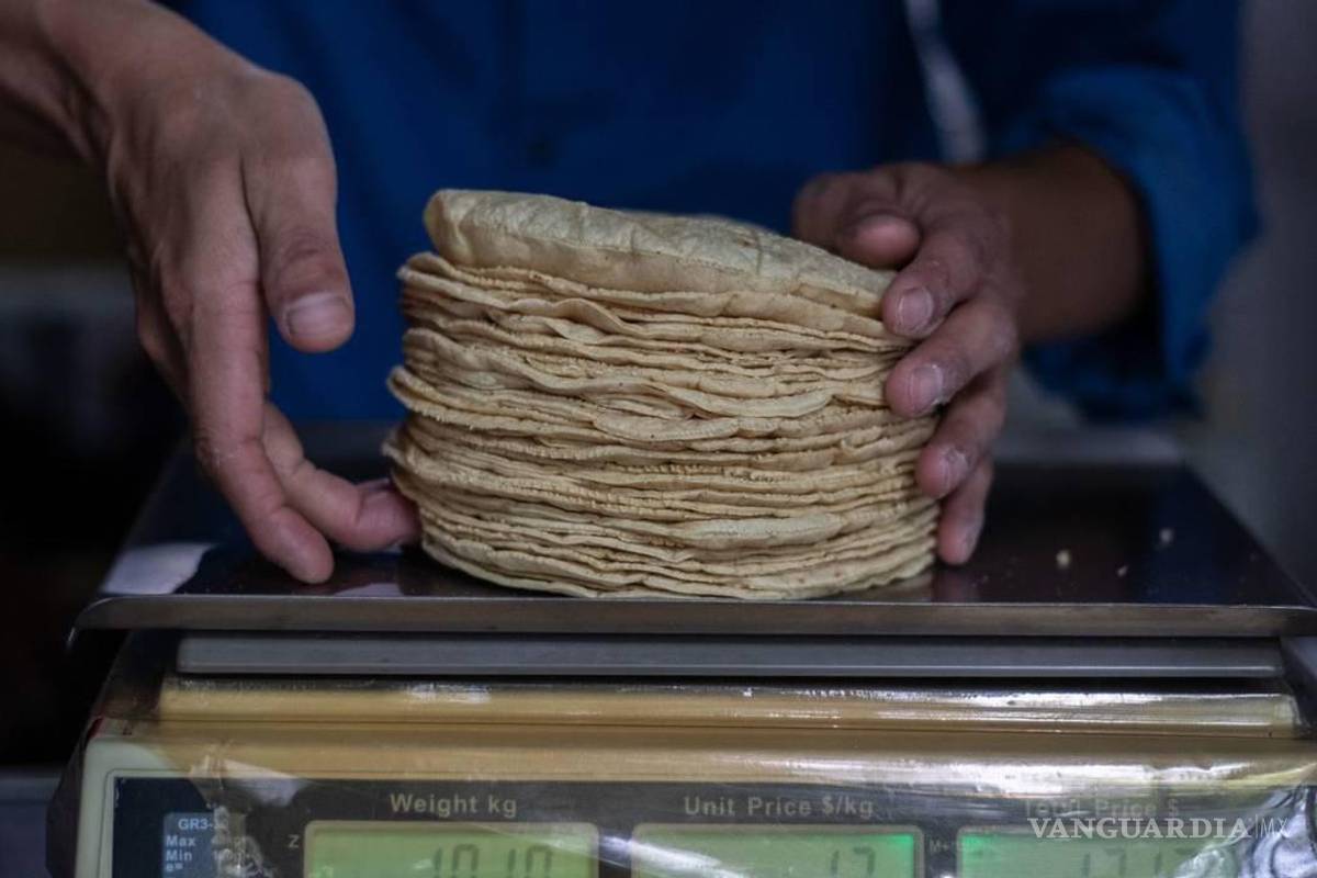 ¡Con los tacos no!... ¿Por qué el kilo de tortilla aumentará de precio en febrero?